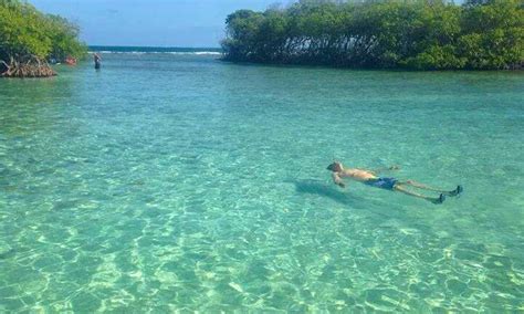 Snorkeling Tour By Boat In La Parguera | GetMyBoat