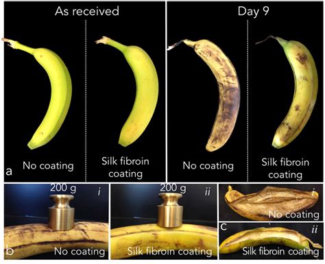 Evaluation of bananas ripening with and without crystalline silk... | Download Scientific Diagram