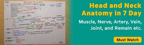 Tongue nerve supply - TCML - The Charsi of Medical Literature