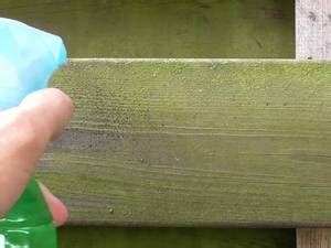 Best Mold Killer and Remover for Wood - Buyer’s Guide