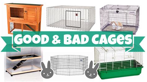 Good vs Bad Rabbit Cages - YouTube