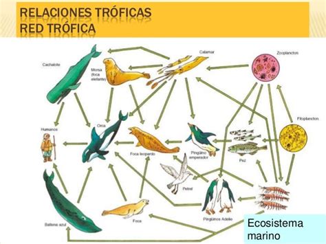 el cuidado del medio ambiente y el agua a través de la tecnología: Biologia