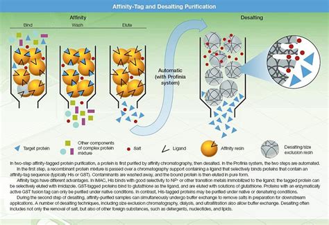 Protein purification - wikidoc