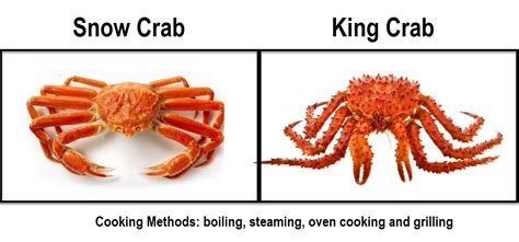 Difference Between Snow Crab Vs King Crab - Asian Recipe