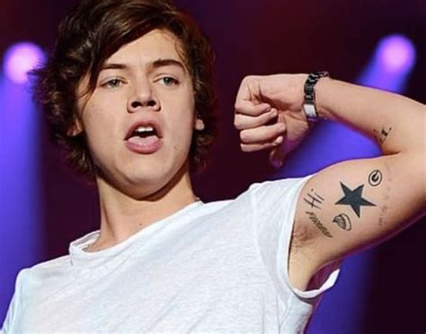 Best 35 Harry Styles Tattoos and Tattoo Ideas - NSF News and Magazine