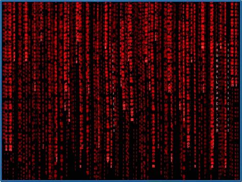 Matrix Code Screensaver Red - Download-Screensavers.biz