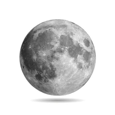 Realistic Full Moon Wall Decal | Realistic moon tattoo, Moon drawing, Moon tattoo designs