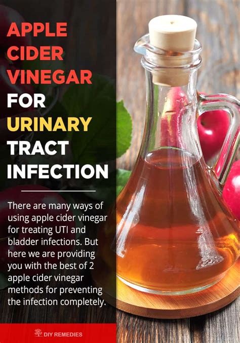Apple Cider Vinegar for Urinary Tract Infection