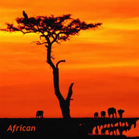 Enjoying African Life - Album by Fadhili William | Spotify