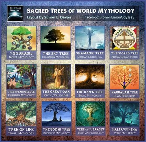 Simon E. Davies Human Odyssey | World mythology, Sacred tree, Mythology