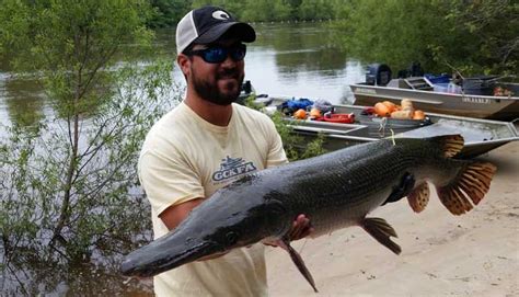 Alligator Gar Fishing Tips: How to Catch Atractosteus spatula