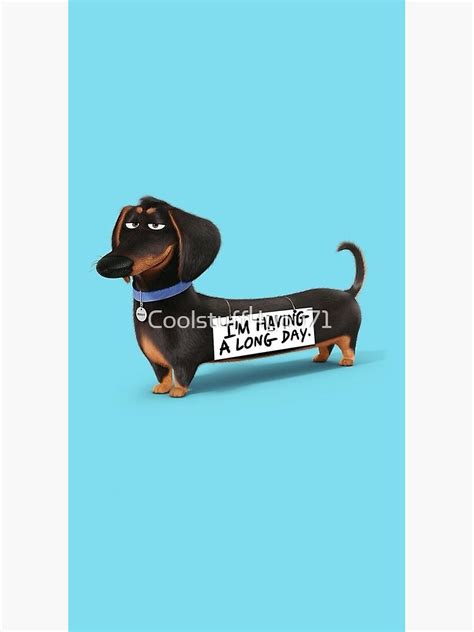 "Dachshund Dog funny pupy" Poster for Sale by Coolstuff4you71 | Redbubble