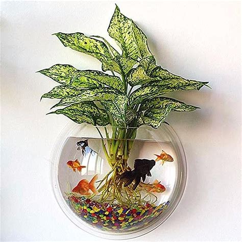 Deluxe Wall Planter | Plant Aquarium | Plants, Plant decor, Indoor water garden