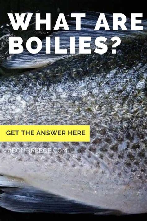 What Are Boilies? (How-To Make Boilies) » Try my Cheap Recipe