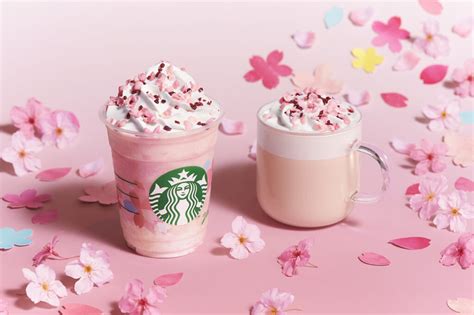 Cherry blossom season arrives in Japan : Starbucks Stories Asia