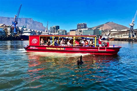 City Sightseeing Cape Town | The Official Red Bus