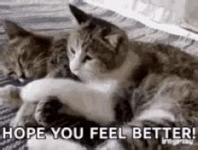 Feel Better GIFs | Tenor