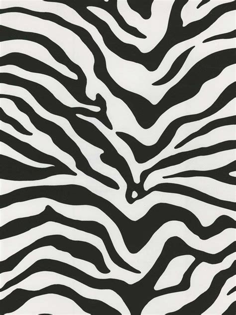 12 best images about Of my zebra stripes on Pinterest | Rainbow zebra, Stripes and Wallpapers