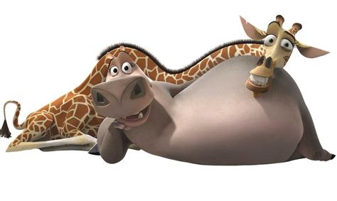 Melman & Gloria’s love story in Madagascar is one of determination ...