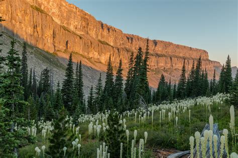 Moose Creek RV Resort and Bed and Breakfast | West Glacier, Montana