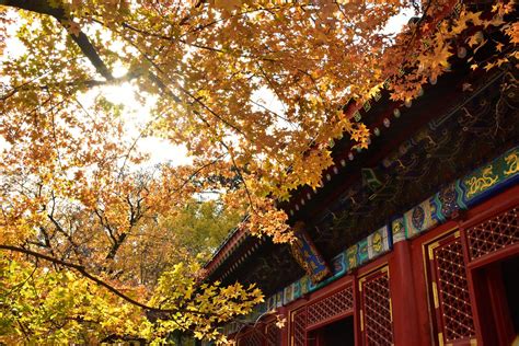 Seasons in Beijing: Weather and Climate