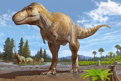 Early fossil identified as new species of Tyrannosaurus | New Scientist