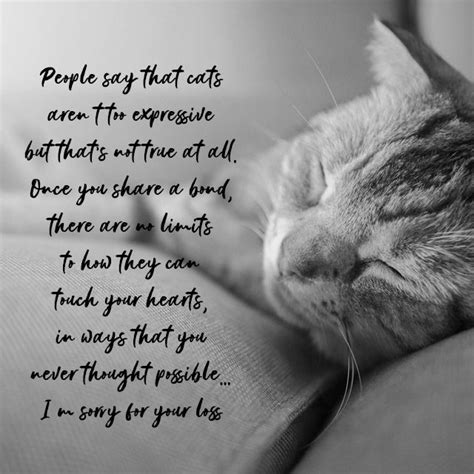 Sympathy Messages for Pets: Condolence Quotes for Dogs, Cats and more ...