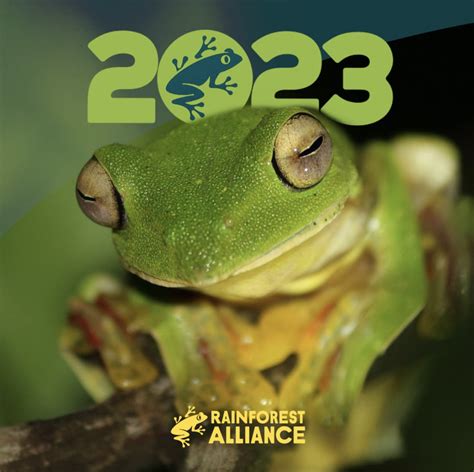 Frog Calendar 2023 – Printable Template Calendar