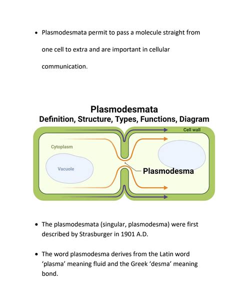 SOLUTION: Plasmodesmata defination structure types function diagram - Studypool