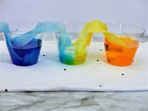 Easy Rainbow Walking Water Experiment For Kids