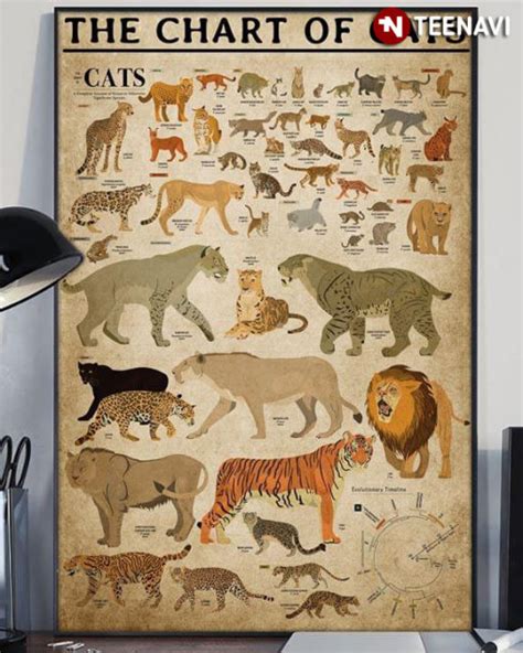 Animals The Chart Of Cats Evolutionary Timeline The Cat Family ...