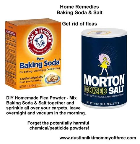 DIY Flea Powder for Your Home - Get Rid of Fleas w/o Using Chemicals & Pesticides - Baking Soda ...