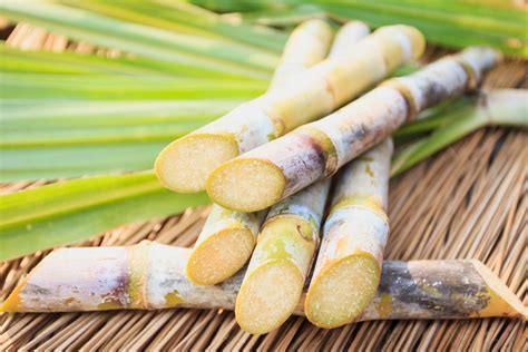 All About Organic Sugarcane Alcohol (AKA, The BEST There Is) - Lemyn