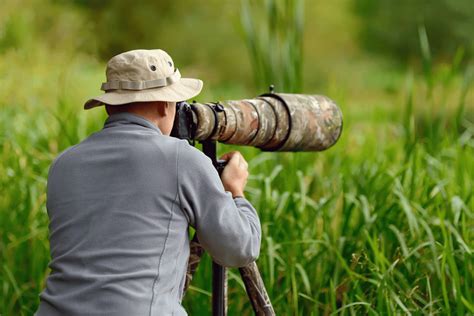 Best camera for wildlife photography in 2024 (Top 10 Ranked)