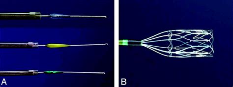 The Penumbra System: A Mechanical Device for the Treatment of Acute Stroke due to ...