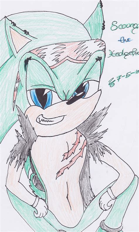 Scourge the hedgehog - Scourge The Hedgehog Fan Art (30755883) - Fanpop