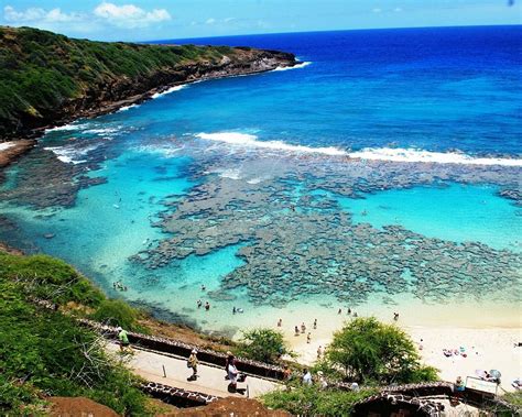 THE 15 BEST Things to Do in Honolulu (2024) - Must-See Attractions