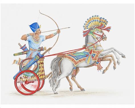 Prints of Illustration of ancient Egyptian archer on chariot | Ancient egyptian, Ancient ...