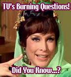 Burning Questions / Really Rare TV Trivia! / TVparty!