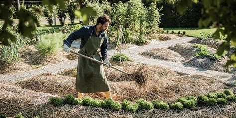 Permaculture Farming: The Ultimate Guide and Examples | GroCycle