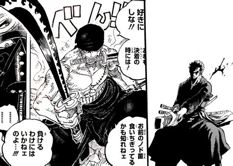 Zoro Manga Panel Wallpaper Wano in 2022 | One piece manga, Roronoa zoro ...