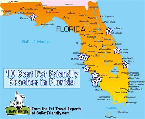 10 Of The Best Pet Friendly Beaches In Florida | Gopetfriendly - Map Of Florida Coast Beaches ...