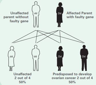 BRCA1 & BRCA2 Plus