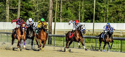 Quarter Horse Racing 3 Photograph by Richard Booth - Pixels