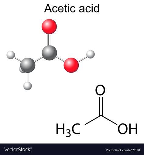 Formula and model of acetic acid molecule Vector Image