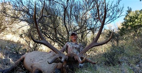 Big Rim Outfitters - New Mexico and West Texas Hunting Guides & Outfitters