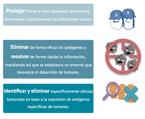 Clave De Respuestas Del Mapa Conceptual Del Sistema Inmunitario