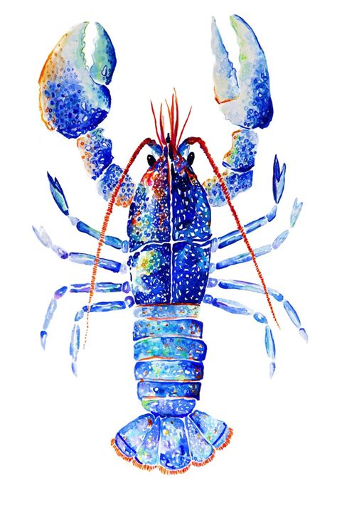 Lobster Watercolor Print. Lobster Art Print. Blue Lobster. - Etsy