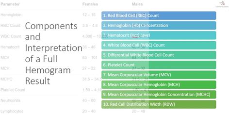 Full Hemogram Components and Interpretation