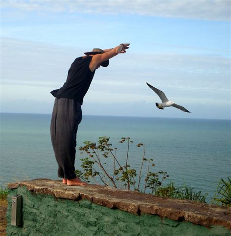 Man And Bird Flight Free Stock Photo - Public Domain Pictures